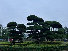 -金银湖国家城市湿地公园