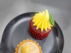 -北京之星奔驰4S店(亦庄店)