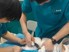 -美迦爱-牙专科·兔科·骨科诊疗中心(北苑店)