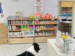 -艾贝尔宠物医院·宠保定点·超声绝育·免疫点(樱花路店)