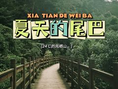 -凤栖山