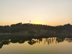 -东莞植物园