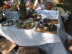 -大连北马山庄