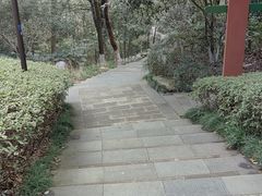 -杭州半山国家森林公园