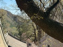 -潭柘寺景区