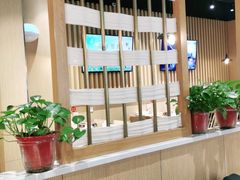 -杨翔豆皮涮牛肚(华阳城店)