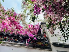 -深圳国际园林花卉博览园