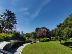 -云溪植物园