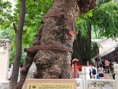 -潭柘寺景区