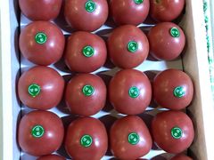 -江杨农产品批发市场