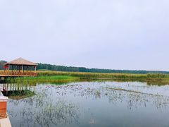 -白洋淀景区