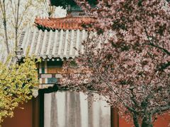 -禹城市禹王亭博物馆