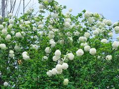 -大龙山(地铁站)