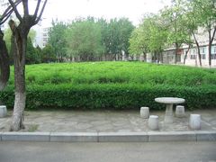 玫瑰园&nbsp;拍照的季节刺梅还没开花-辽宁大学(崇山校区)