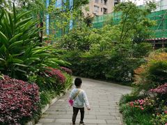 -成都市活水公园