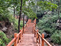 -大岭沟猕猴桃谷风景区
