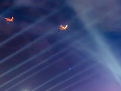 -第35届青岛国际啤酒节