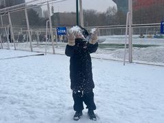 -沈阳奥体冰雪嘉年华