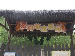 -南湖国家城市湿地公园