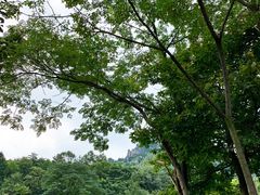 -马仁奇峰
