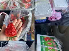 -大连熟食品交易中心
