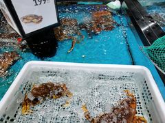 -盒马鲜生(大行宫店)