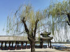 -长春市南湖公园