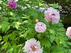 -狼山风景名胜区