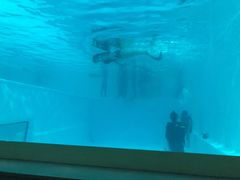 -上海潜殿潜水中心