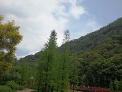 -广州市石门国家森林公园