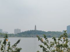 -顺峰山公园