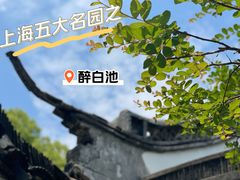-上海醉白池公园