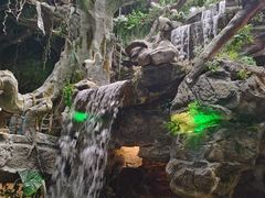 -多彩贵州城极地海洋世界