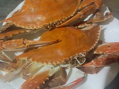 -农家乐大锅台铁锅炖(四流中路店)