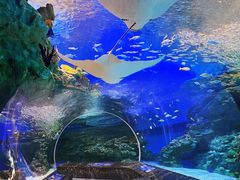 -海合安成都极地海洋公园