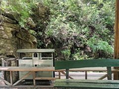 -苏木山森林公园