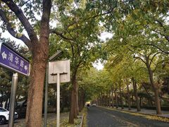 -清华澜园教工餐厅