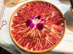 -鲜入围煮花胶鸡海鲜火锅