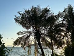 -碧桂园十里银滩