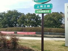 -上海月湖雕塑公园
