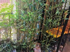 -醉西楼·国风茶社