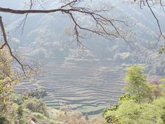 -婺源风景区