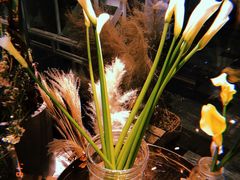 -植物学家的女儿(北马道巷店)