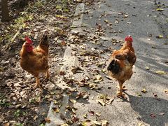 -五女峰国家森林公园