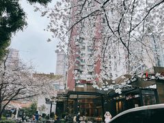 -玛格萝妮比萨屋(四平店)