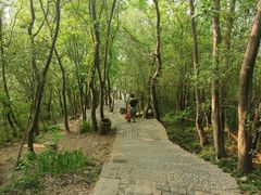 -紫金山山顶公园
