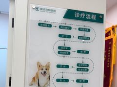 -瑞派康怡24h宠物医院·犬猫医疗中心·微创绝育(瑞景分院)