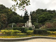 -金鸡山公园