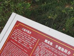 -习家池