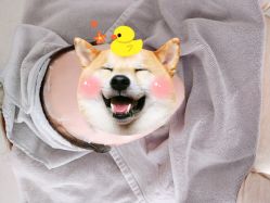 -纯粹医美